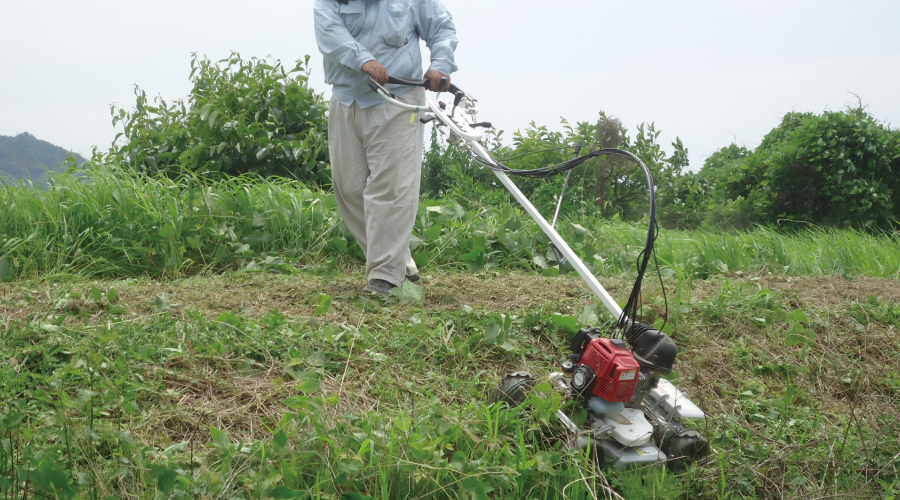 法面や畦などの傾斜地の草刈作業