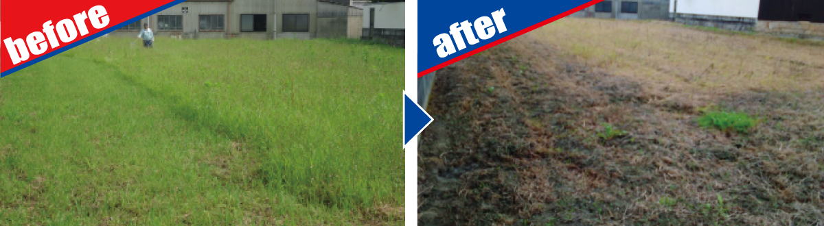 除草剤散布 before-after