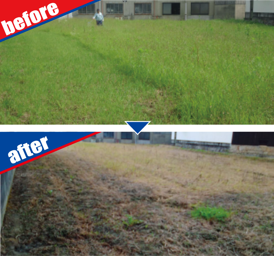 除草剤散布 before-after