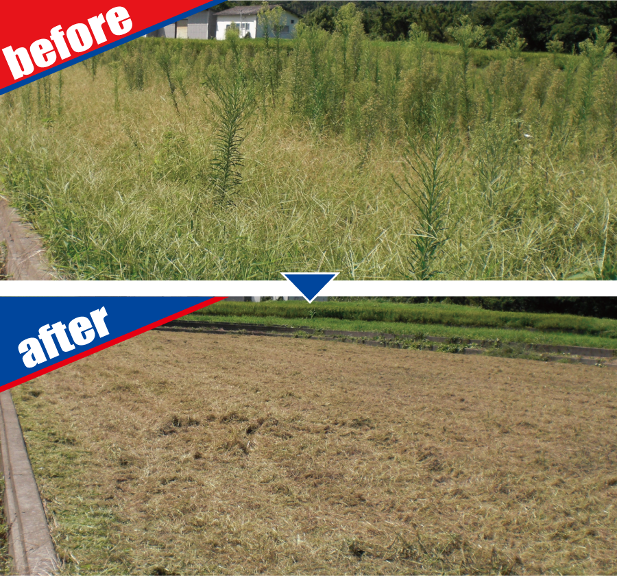 草刈(粉砕)作業の作業前後2