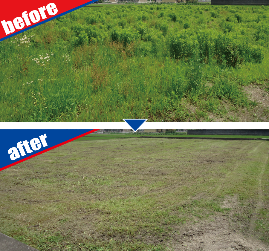 草刈（粉砕）作業 before-after